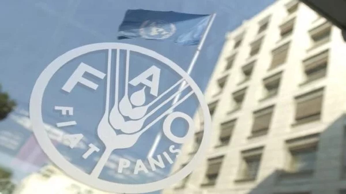 Comida más cara: los alimentos suben 5,8 % en un año, según la FAO