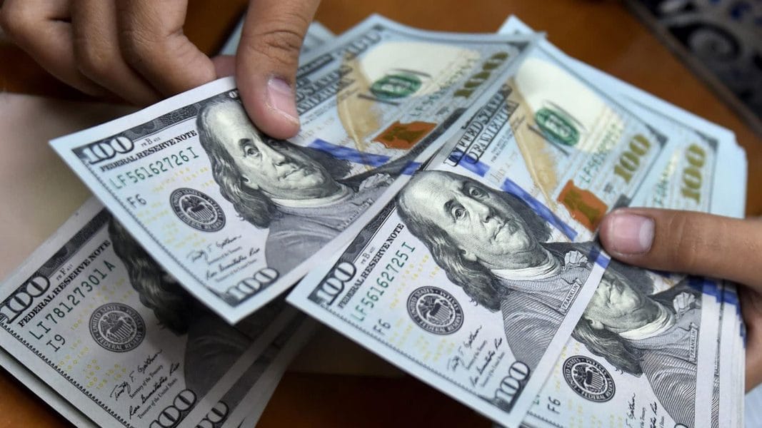 Economía en dólares: 81 % de los venezolanos prefiere cobrar en divisas