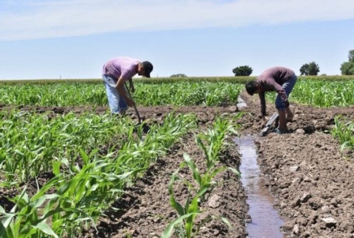 Campo en alerta: Fedeagro pide derogar leyes y revisar impuestos sobre insumos